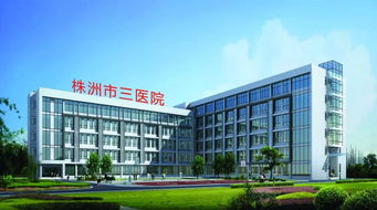 株洲市三醫(yī)院 微創(chuàng)技術(shù)開(kāi)啟新篇章，賦能新材料技術(shù)開(kāi)發(fā)服務(wù)